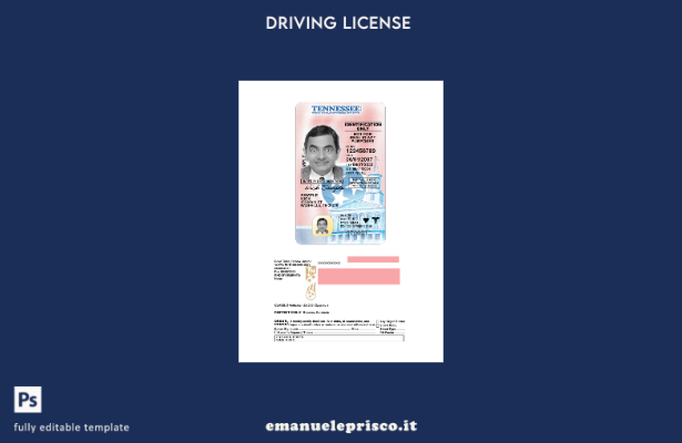 verified style stile verificato USA Tennessee con modello presente patente di guida template